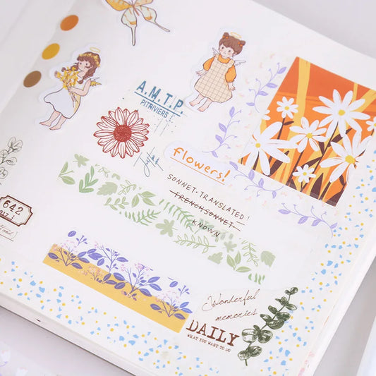 Scotch Fantaisie en Lot de 5